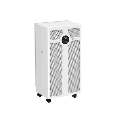 China 1200 M3/h Powerful Pet Odor Air Purifier with Timer Replaceable Filter factory