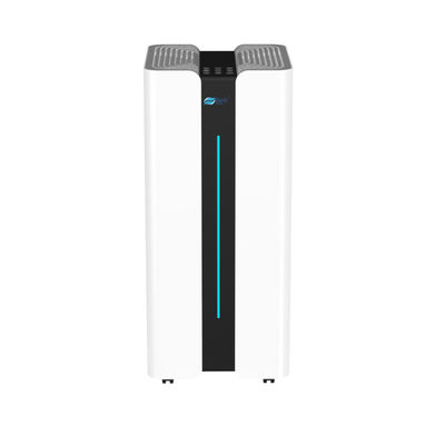 China 830 M3/h High Efficiency Home Air Cleaner With Anti Allergen HEPA Filter And Negative Ions factory