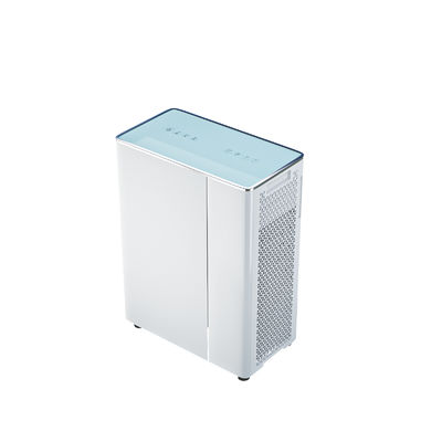 Standing Air Purifying System with Primary Filter Craftsmanship