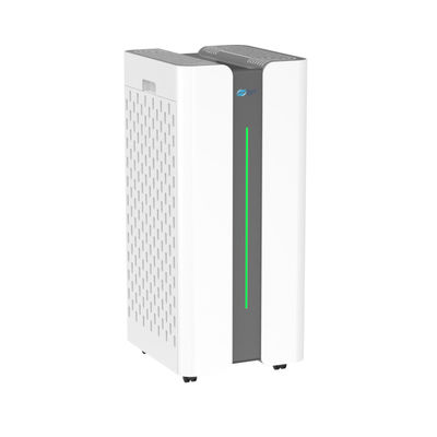 110V-240V Pet Odor Removal Air Purifier With 612 M\u00b3/h CADR And 12-Month Filter
