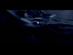 D6S ((ট্যাঙ্ক সহ)