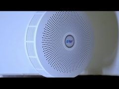 Z06C - Vidéo principale