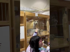 L'air plus pur, les animaux plus heureux: le purificateur de Berk