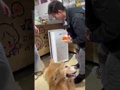 L'air propre aux animaux de compagnie: le purificateur de Berk garde votre maison fraîche!