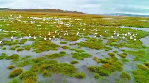 China neuesten Nachrichten über Methanemissionen aus Feuchtgebieten: ihre Auswirkungen auf die Luftqualität und die Vorteile von Luftreinigern