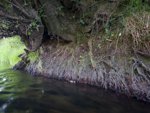 Κίνα τα τελευταία νέα σχετικά με Τα αιωρούμενα σωματίδια από την διάβρωση των ποταμών: Η κατανόηση της επίδρασής τους στην ποιότητα του αέρα και η ανάγκη για καθαριστές αέρα
