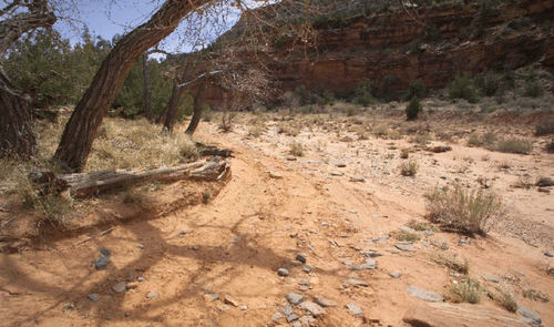 china latest news about How Vegetation Loss Leads to Soil Erosion and Its Impact on Air Quality