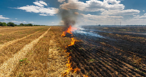 china latest news about The Impact of Agricultural Burning on Air Quality and the Importance of Air Purifiers