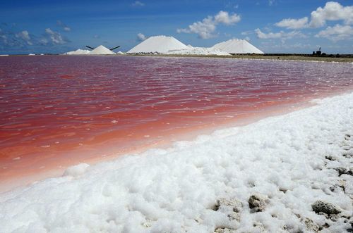 china latest news about The Impact of Ocean Salt Spray on Air Quality and the Benefits of Air Purification