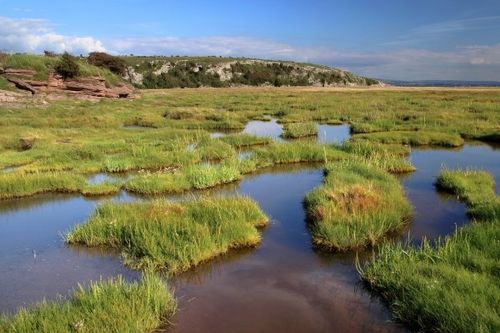 china latest news about Methane Emissions from Wetlands: Their Effect on Air Quality and the Need for Air Purifiers