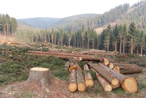 china latest news about Deforestation and Dust: How Land Exposure from Forest Clearing Impacts Air Quality and the Importance of Air Purifiers