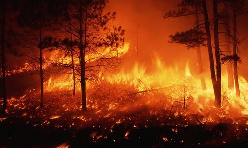 china latest news about Wildfires on Grasslands: Their Impact on Air Quality and the Role of Air Purifiers