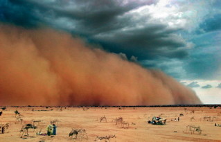 Latest company news about The Impact of Sandstorms on Air Quality and Why You Need an Air Purifier