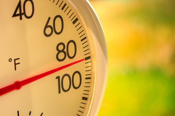 Latest company news about The Formation of Natural Ozone During High Temperatures: Understanding Its Impact on Air Quality and the Role of Air Purifiers