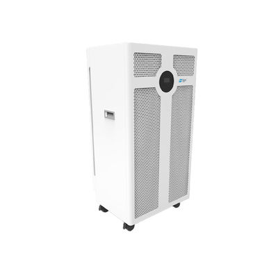 HEPA Certified Air Sterilizer with Antibacterial Cotton H13 HEPA Filter 12 Months Filter Life