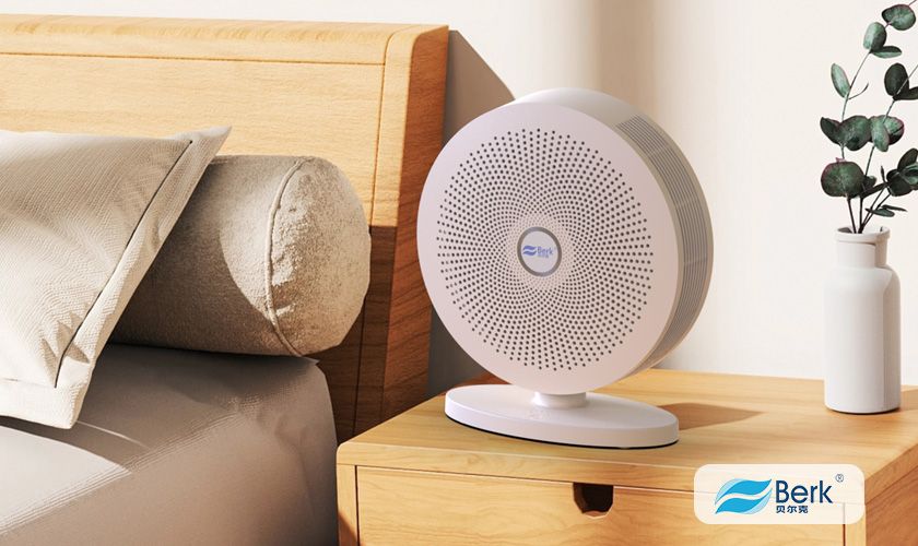 Look for in the Best Air Purifier for Mold in 2025